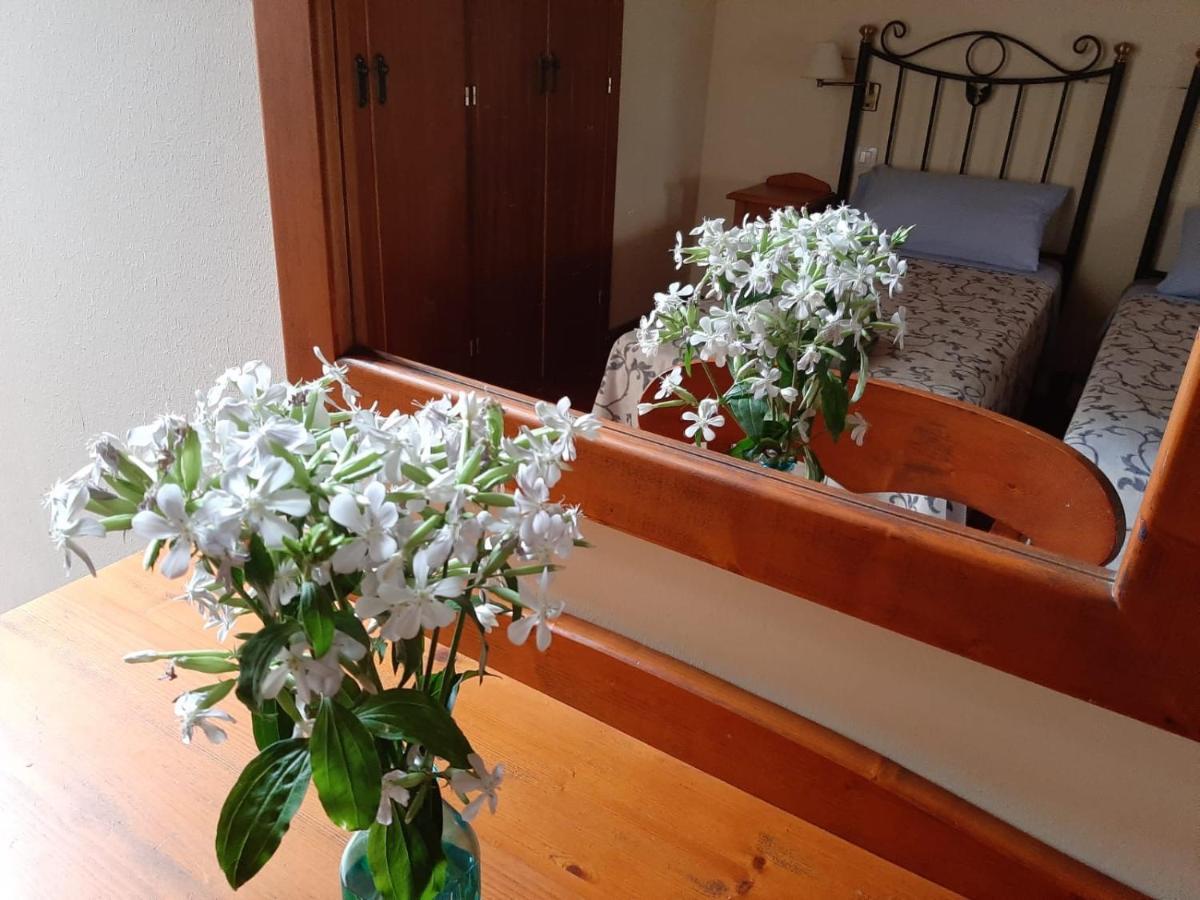 Acea Do Bubal Guest House Ourense Exterior photo